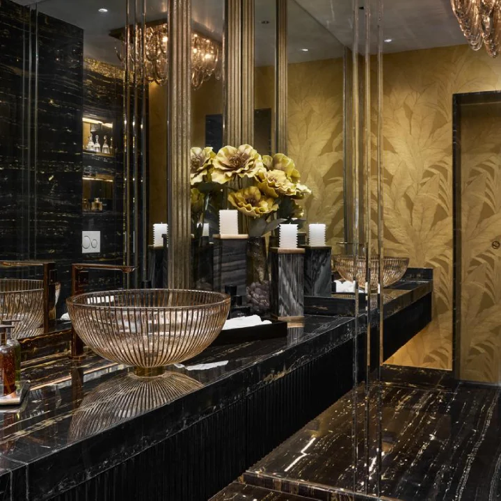 Luxury Bathroom Interior